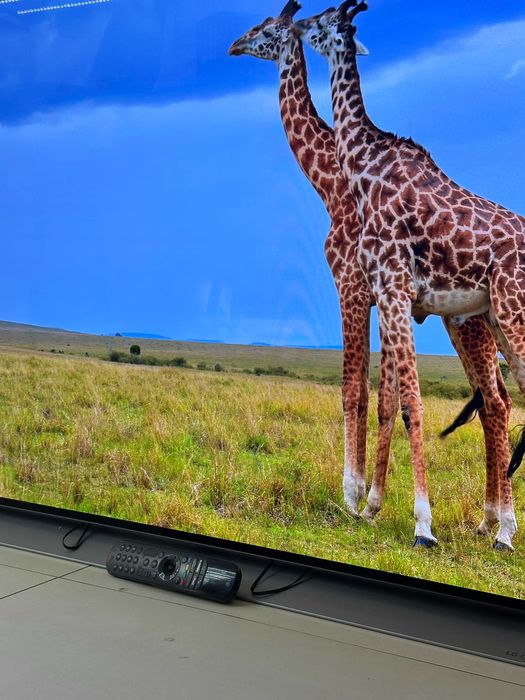 LG OLED 55C12LA 139 CM Garantie 12 Luni CashBox