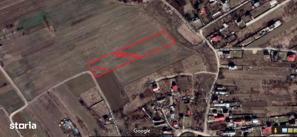 5000 mp Teghes- Domnesti