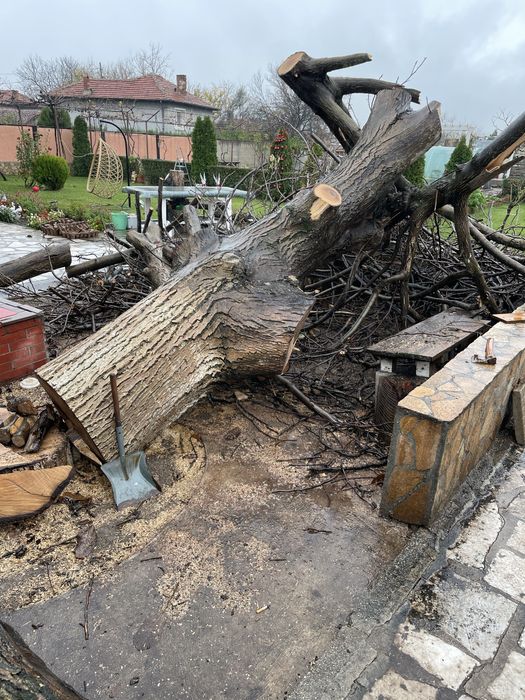 Дървен материал от ОРЕХ