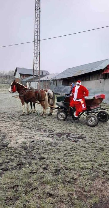 Vand trasura pentru cai