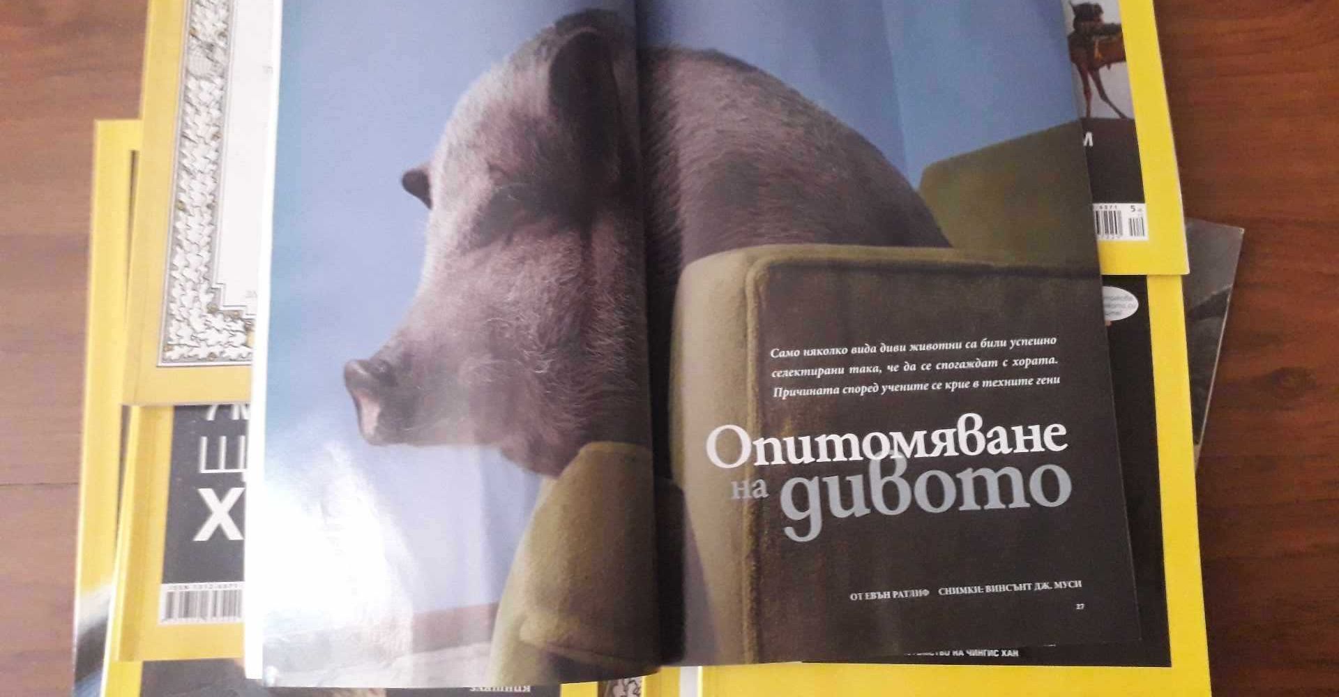 National Geographic март 2011, Колю Фичето, вековните градежи на гения