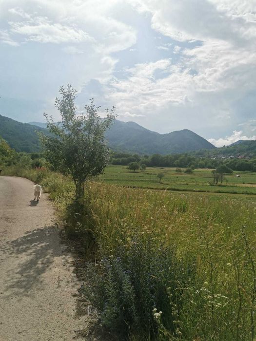 Teren parcelat, valea Ariesului