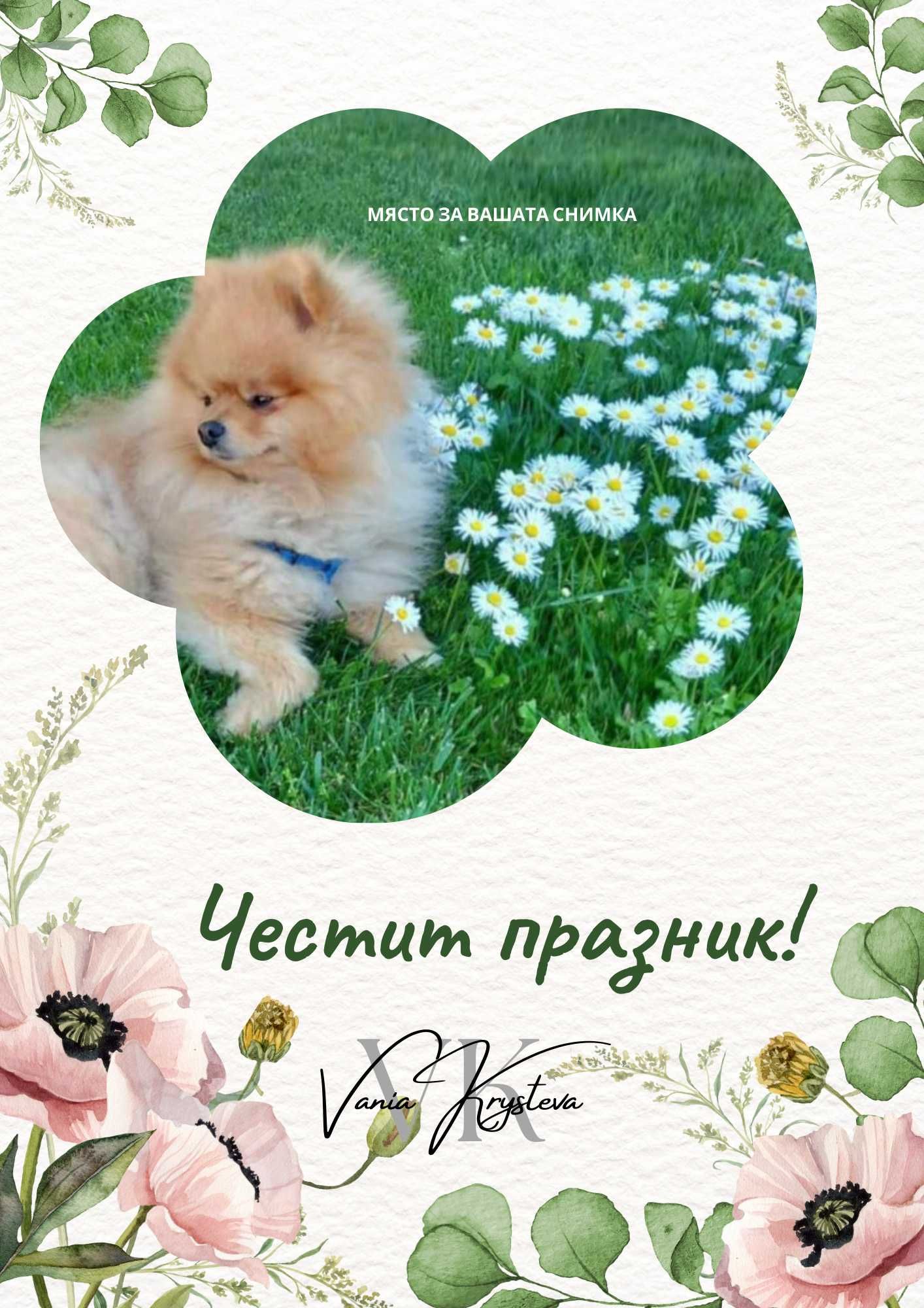 Персонални поздравителни картички с или без снимка