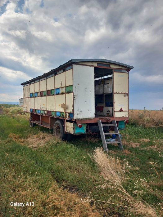 Vand Vagon apicol Înmatriculat