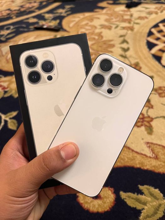 Iphone 13 pro silver