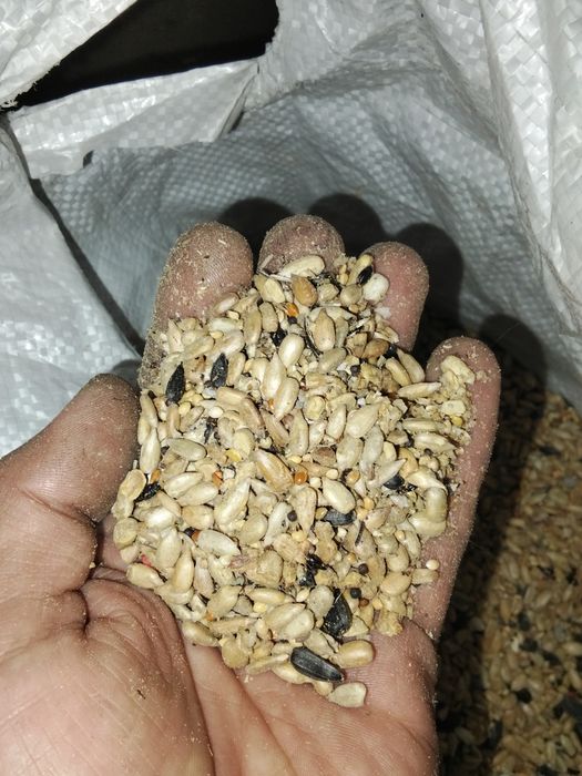 Семечки очищенные семечки