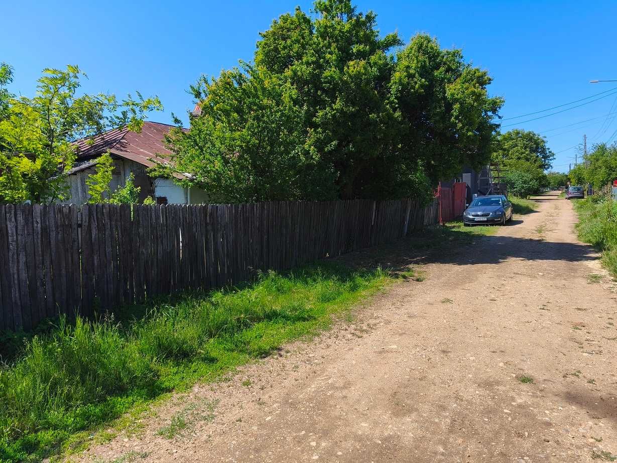 Teren 1800mp si casa Letca Noua