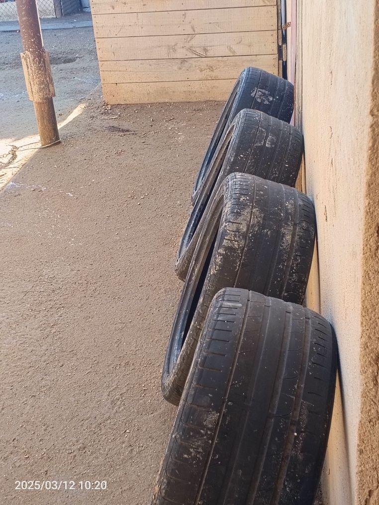 Аяқтар шины автошины