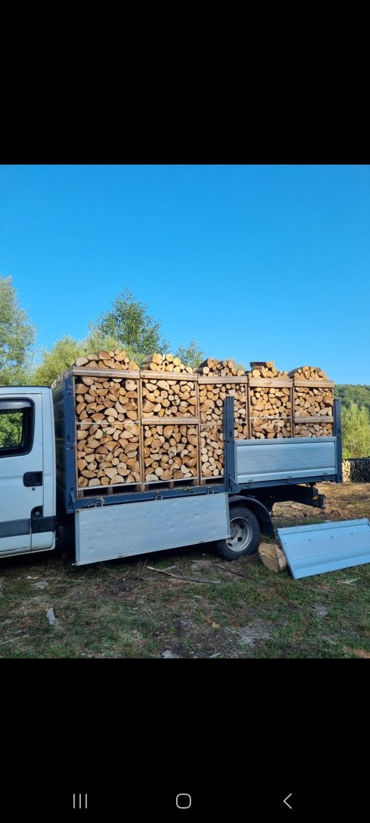 SC vinde lemne de foc fag taiate si sparte paletizate Ilfov Bucuresti