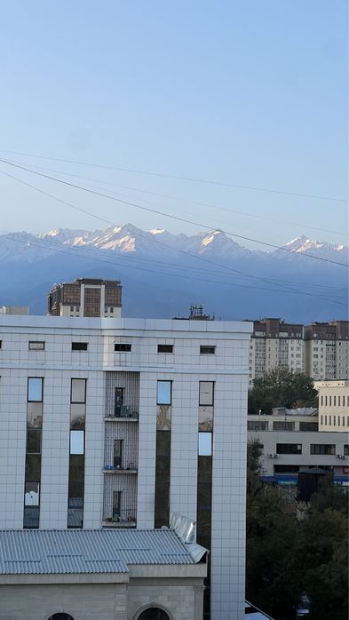 1 ком, Алмалинский р-н, Жамбыла 221