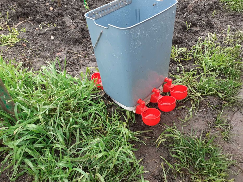 Adapatori automate cu nivel constant.