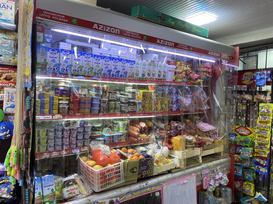 Xoladelnik ishlab turgan