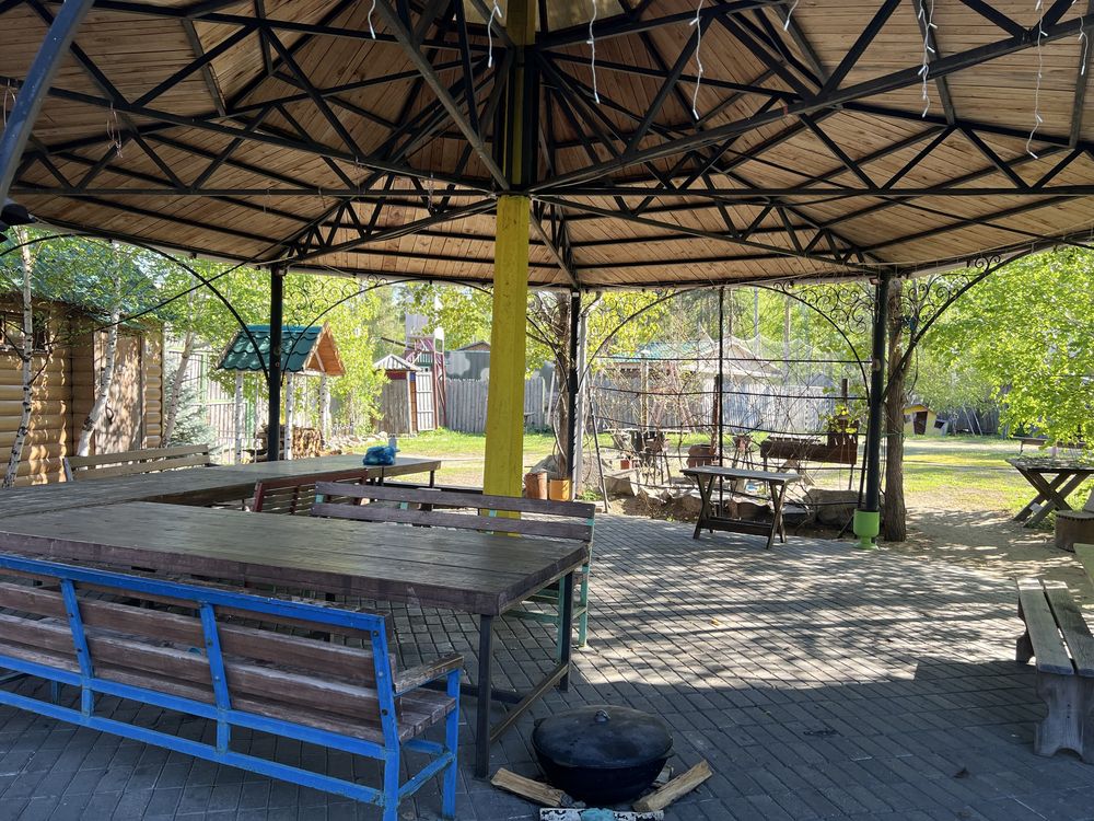 Продается дом в лесной зоне