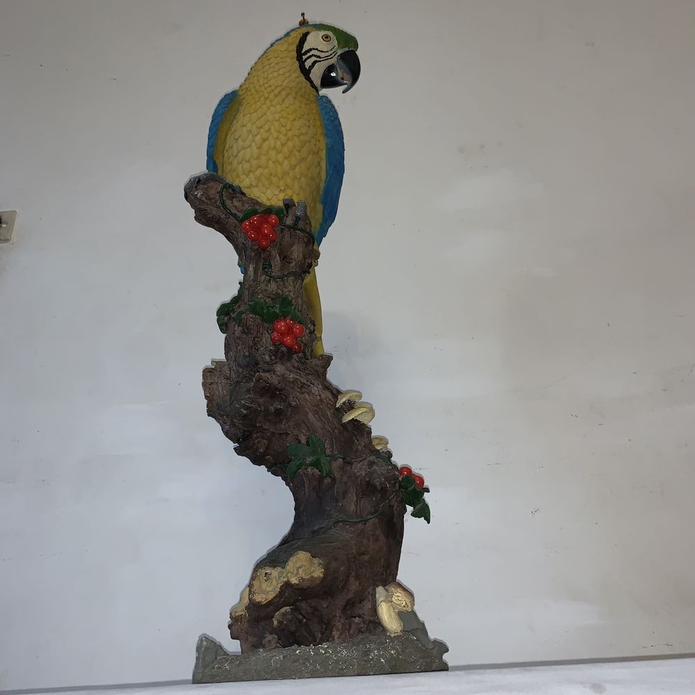 Papagal decor colorat