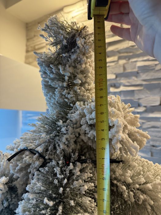 Елха 3 Д заскрежена