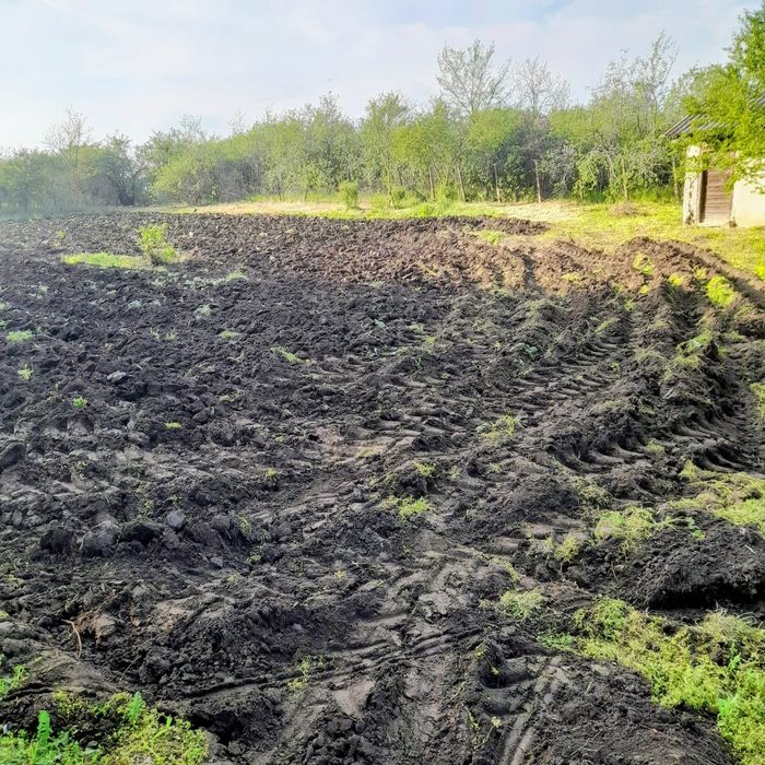 Teren casa comuna Izvoarele