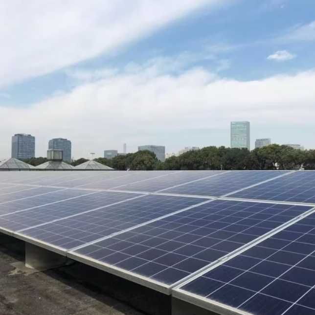 Panouri fotovoltaice – Import direct China