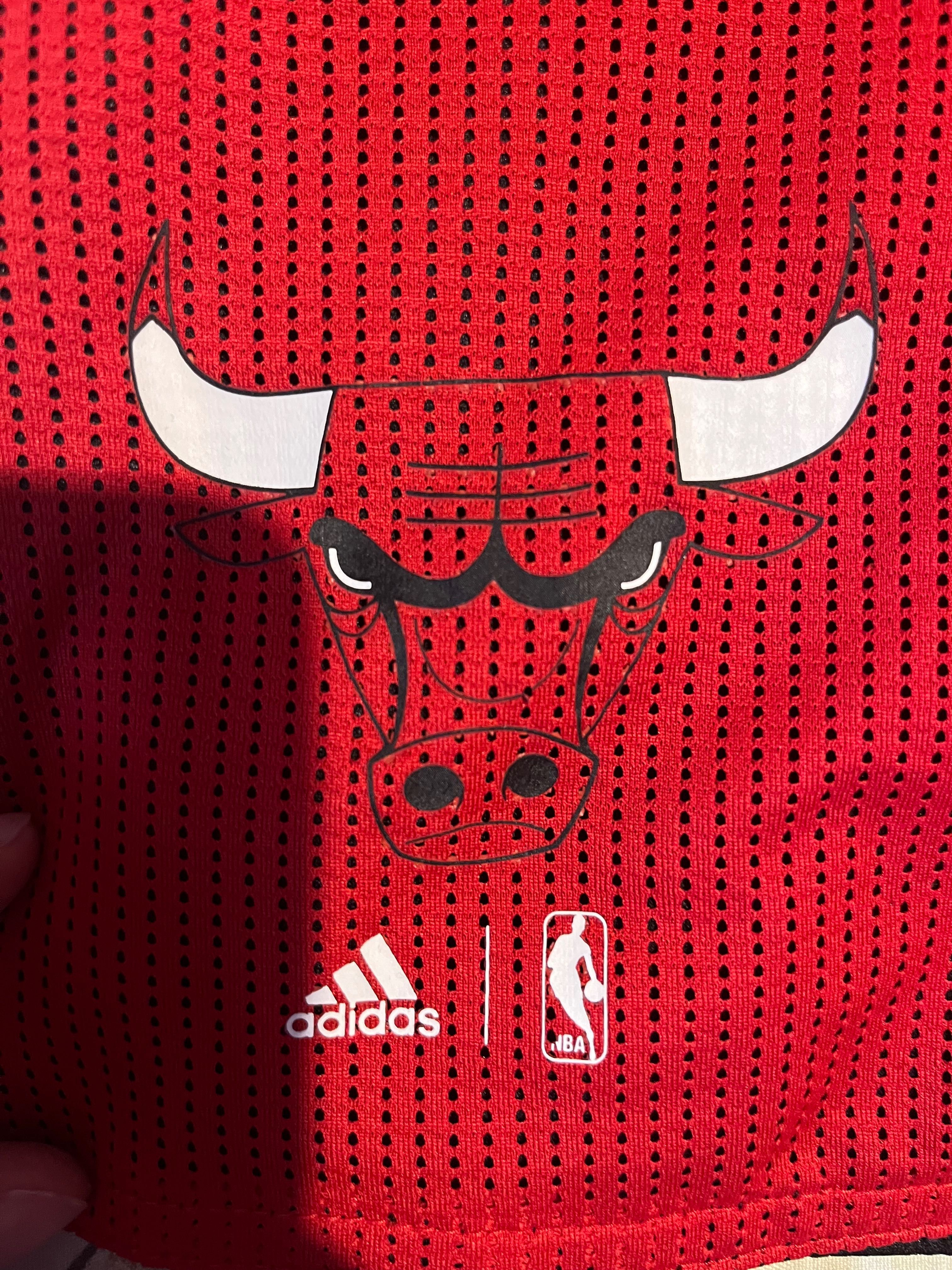 Баскетболни шорти Chicago Bulls
