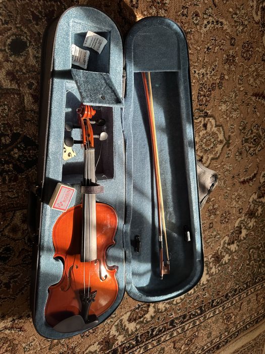 Скрипка в сумке