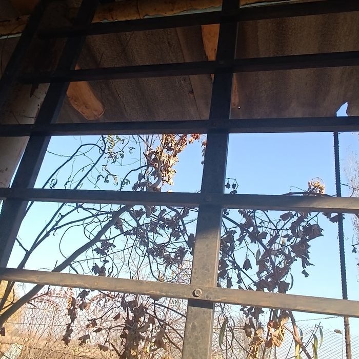 Продается багажник жигули