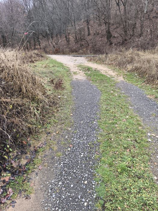 След извора на Струма над Боснек - продавам имот 2,5 дка