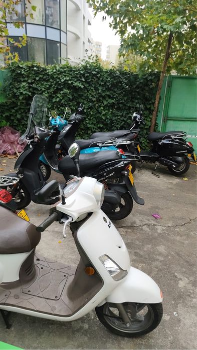 Oferim Spre Închiriere Scutere 49cm³ – FĂRĂ PERMIS DE CONDUCERE!