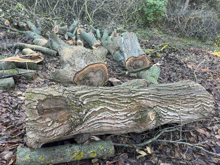 Дървен материал Орех