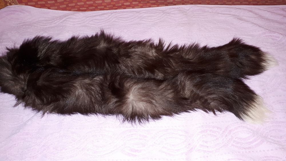 Guler vulpe argintie