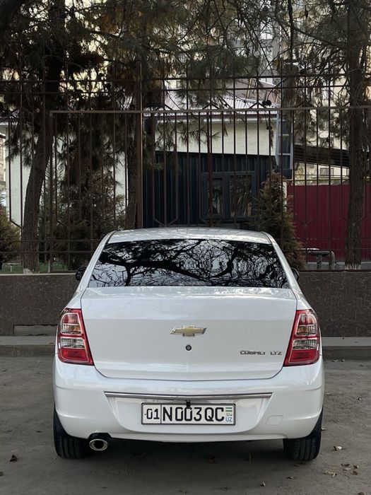 Cobalt Arendaga beriladi