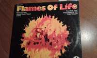 Flames of Life + alte Titluri! - discuri vinil