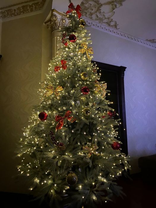 Ёлка Елка Голубая Ель Новогодняя