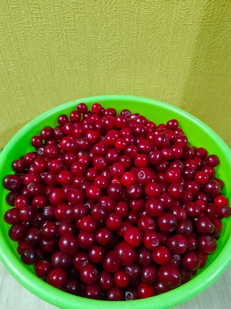 Продам вишню кисло-сладкую.