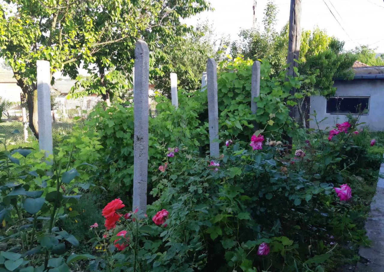 Продава се Къща в с. Първомайци, Област Велико Търново - 80 кв.м за 472 €/кв.м - Снимка #12