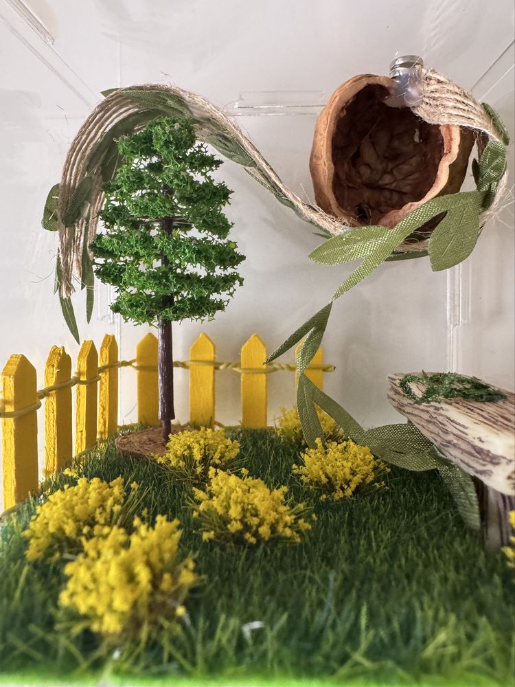 Small enclosure for insects or small reptile