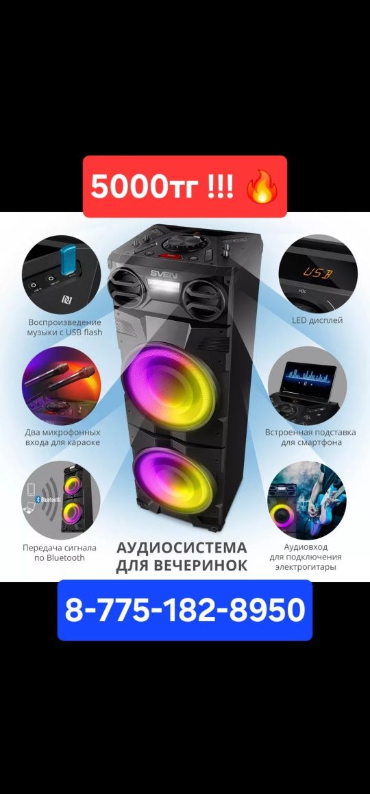 Колонка с 2 микрофоном
