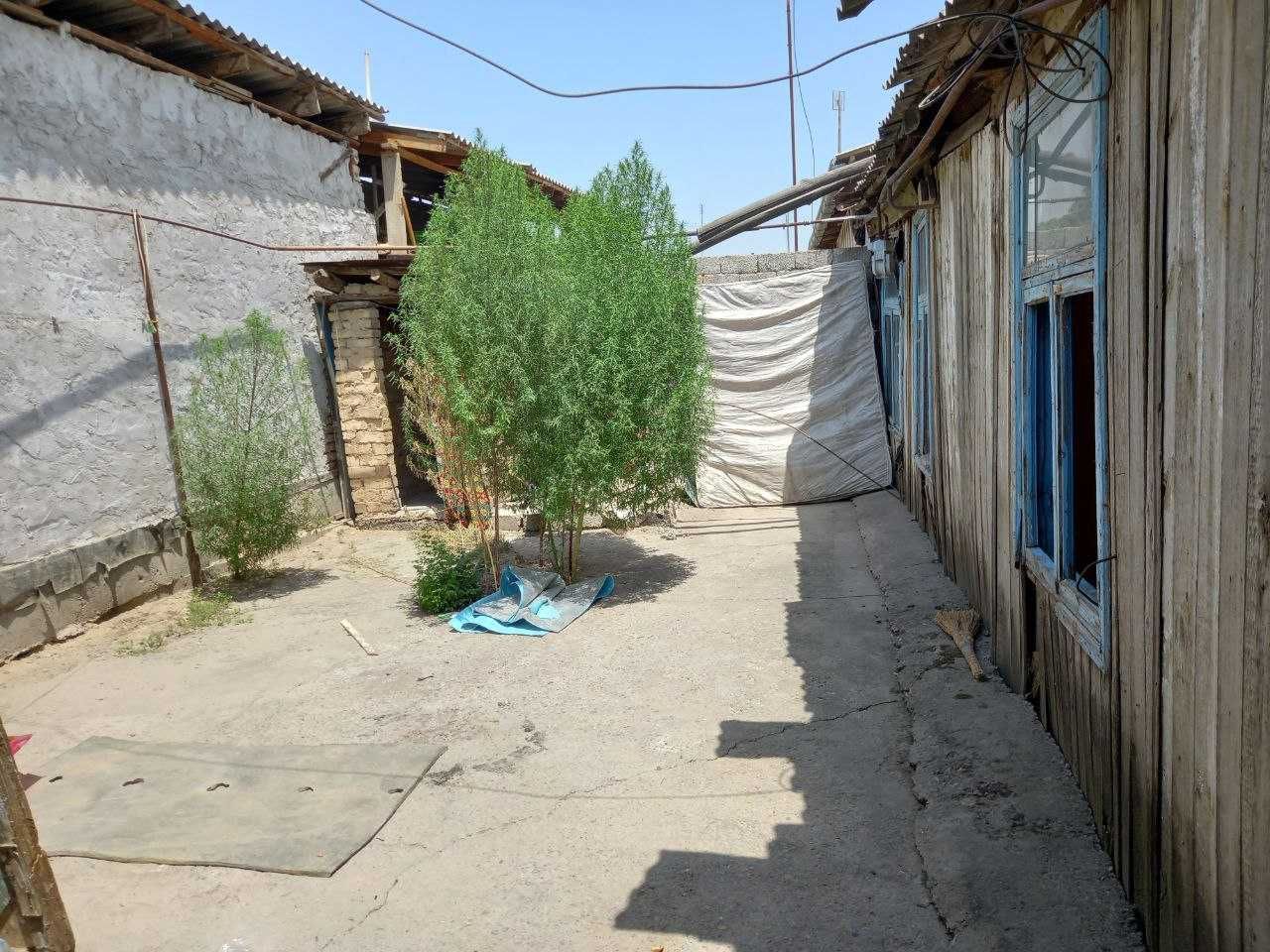 Чноз туманида уй сотилади