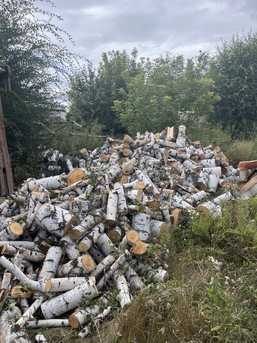 Продам дрова береза неколотая колотая.