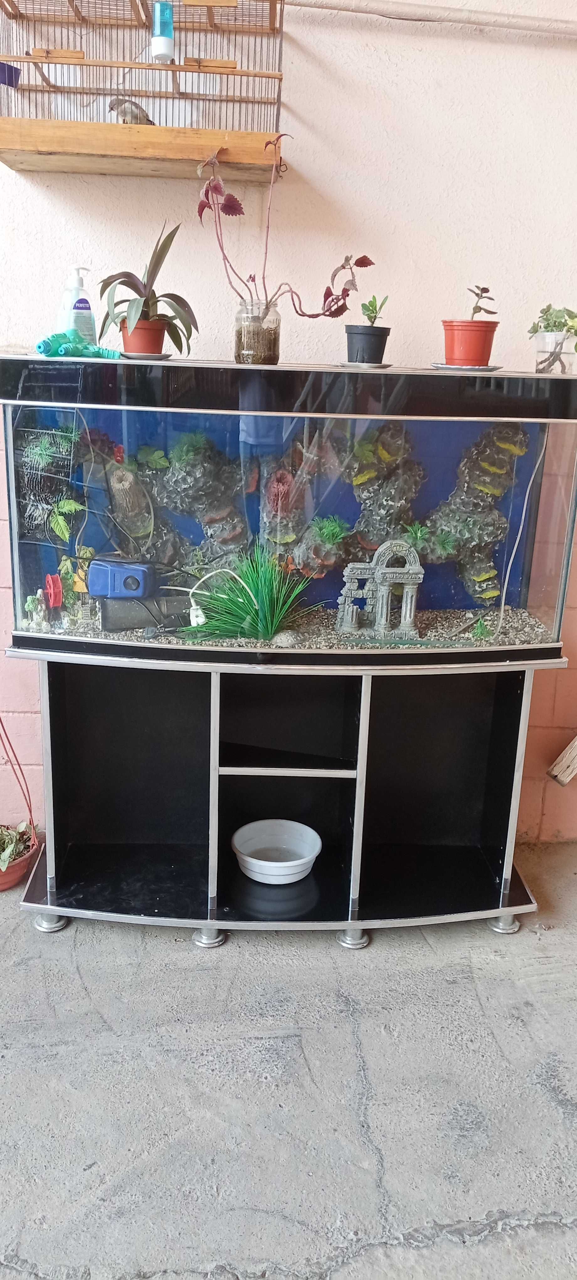 Akvarium sotiladi
