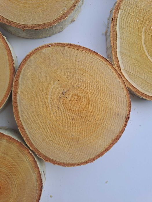 Дървени кръгчета шайби дърво декупаж декорация БИО ЕКО НАТУРАЛ