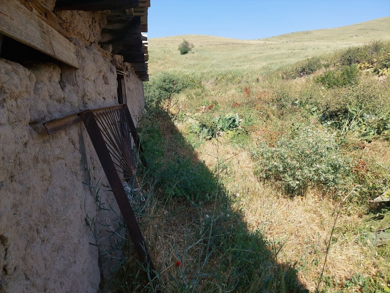 Uchastka yer maydoni dacha un ajoyib joy