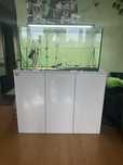 Acvariu 200 litri, filtru eheim, lampa chihiros