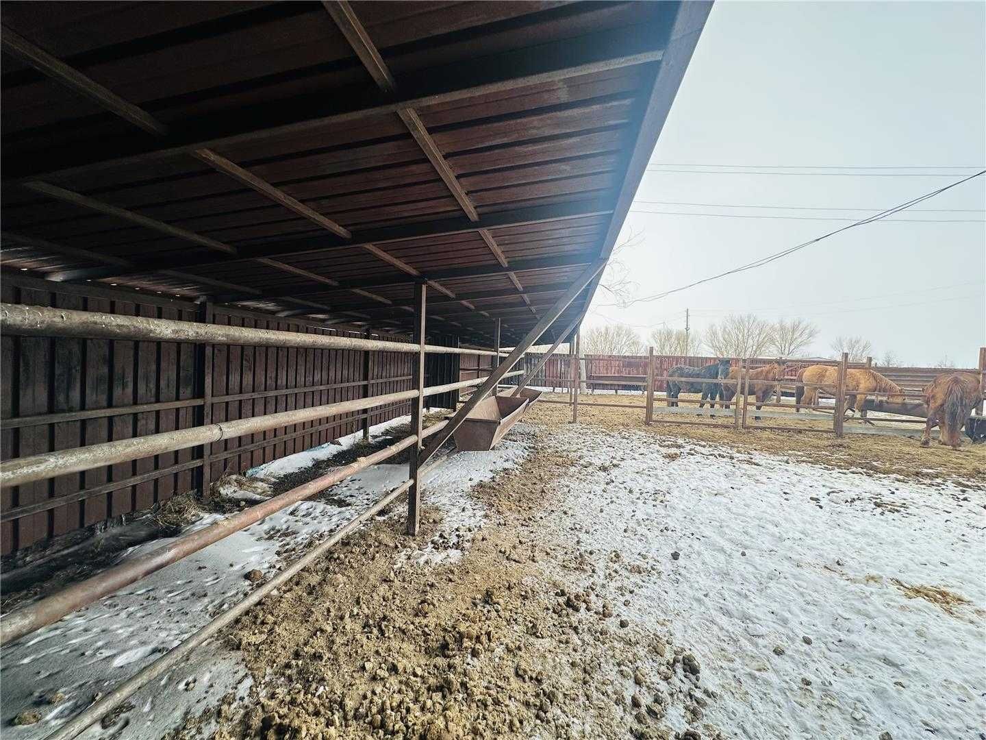 В п. Северо-Западный предлагаем жилой дом с действующей фермой