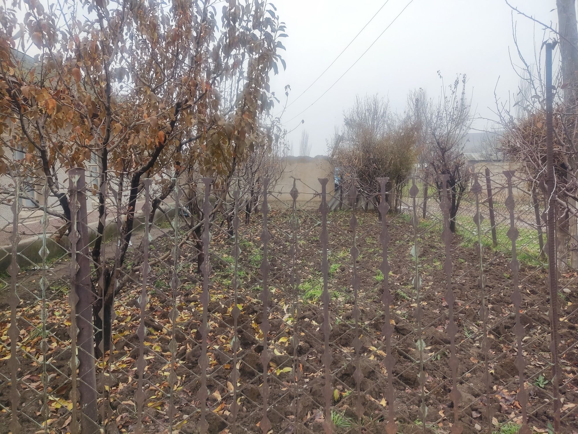 Hovli sotiladi moydon tol Toğ yolida