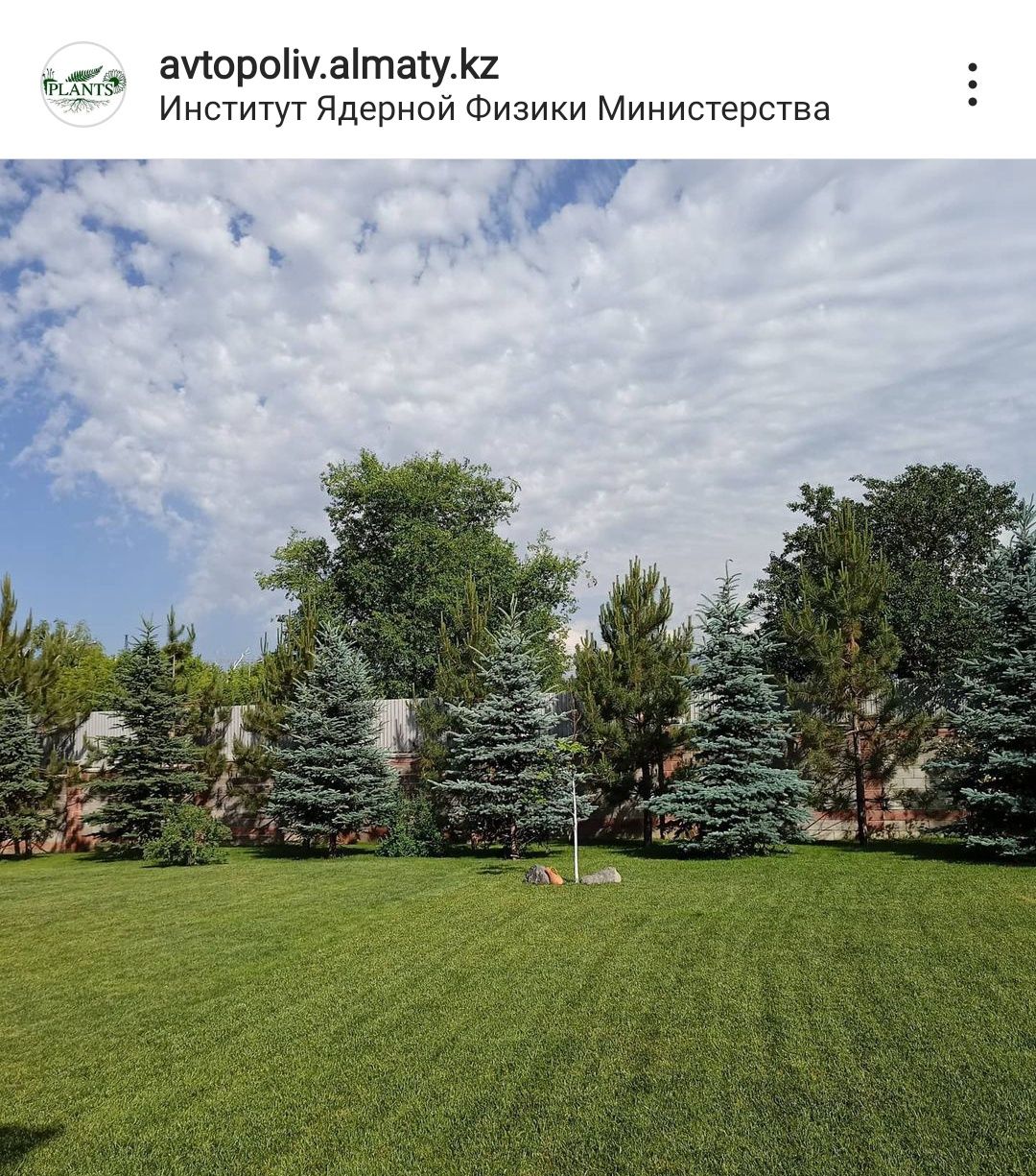 Автополив газона