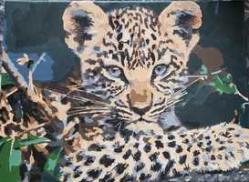Pictura pe numere "Pui de jaguar"