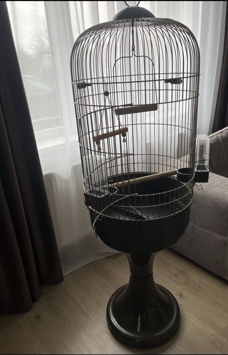 Colivie papagali /pasari