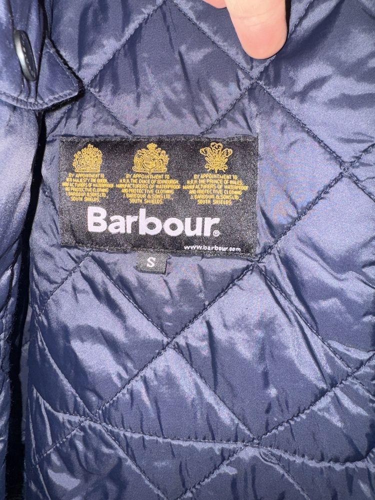 Geaca matlasata Barbour