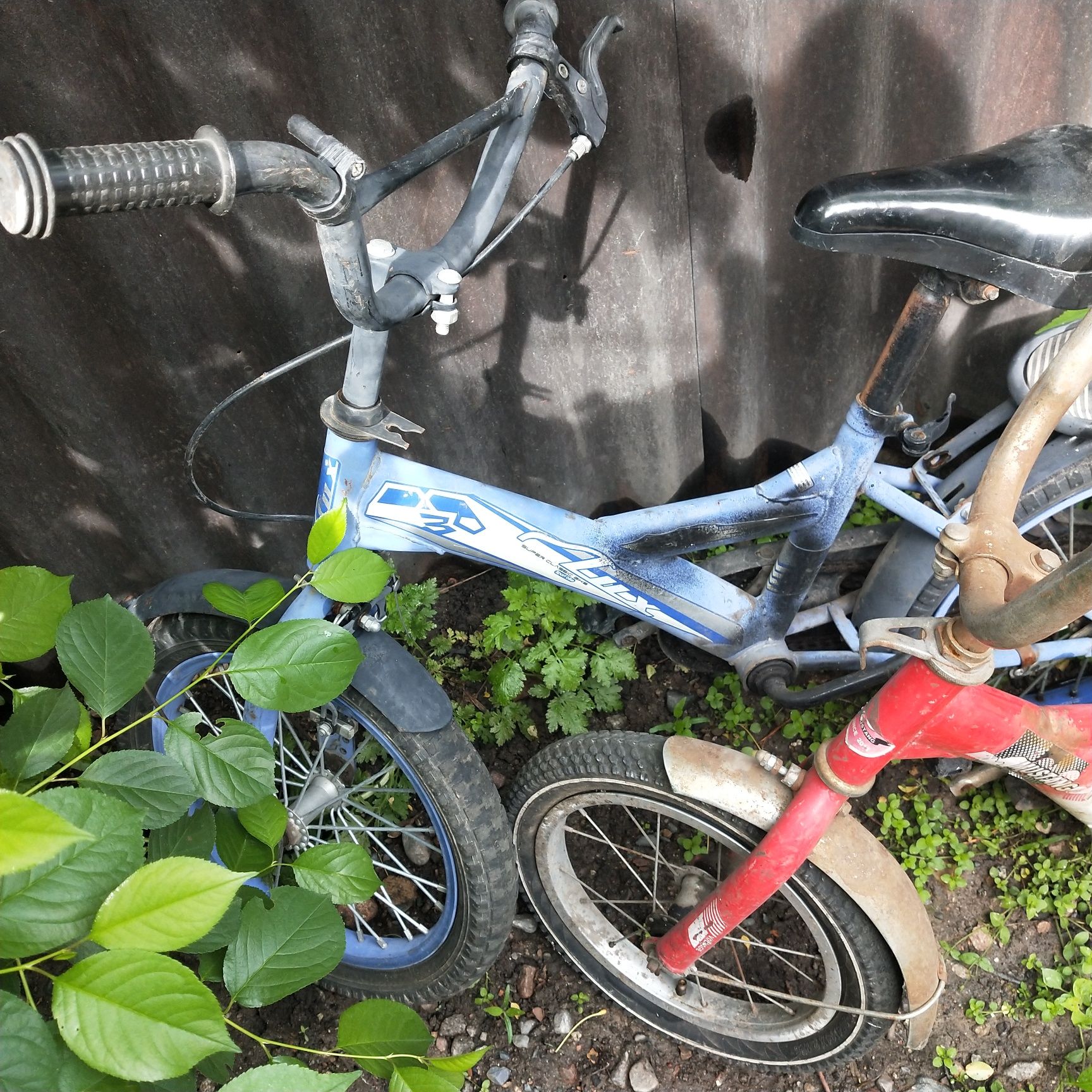Велосипед для детей - 2 вида по 7000 ТГ.