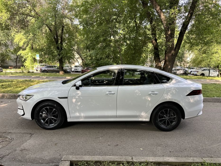 Авто в аренду. Byd Qin Plus EV 510 km.