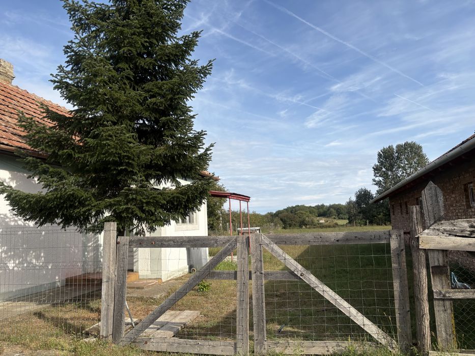 De vanzare case si terenuri la Urziceni Padure